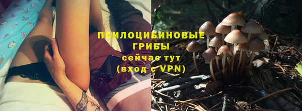 амф Каменногорск