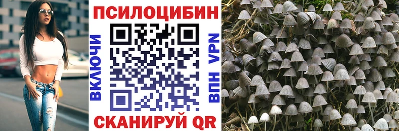 ОМГ ОМГ ТОР  Кораблино  Галлюциногенные грибы MAGIC MUSHROOMS 